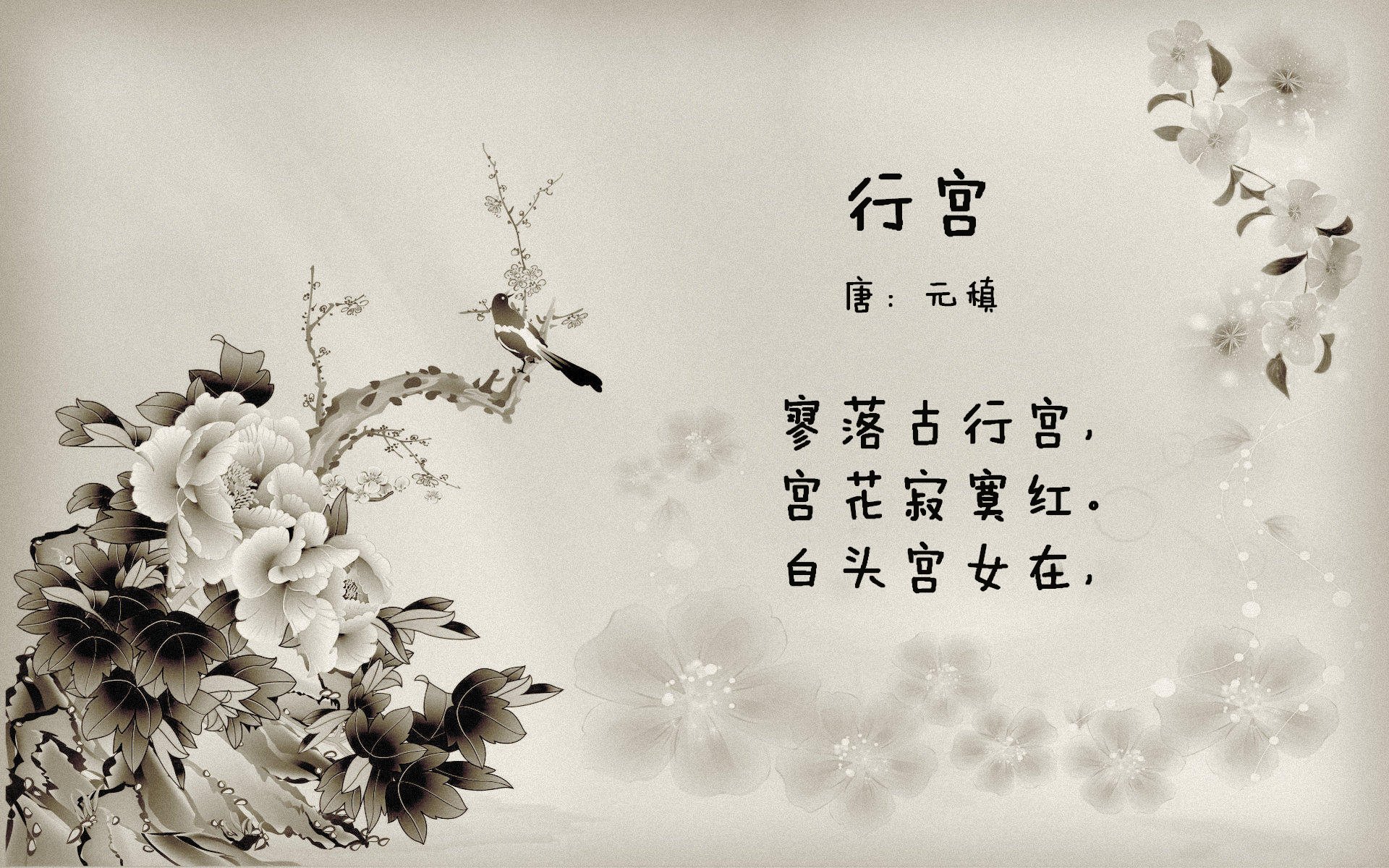 奥地利队欧洲杯表现出色，主帅续约，奥地利队欧洲杯阵容