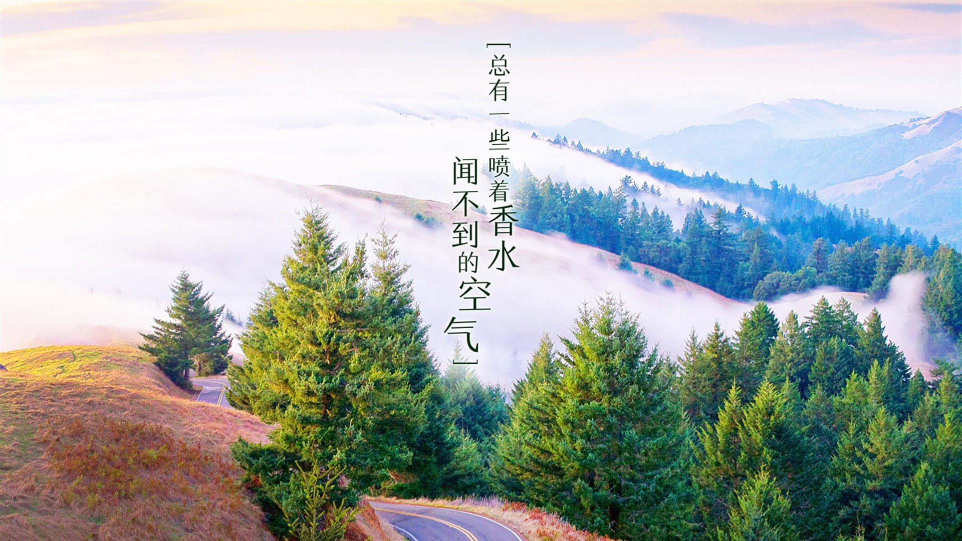 “西甲激烈角逐，豪门纷纷发力冲刺欧冠席位”，最新西甲冠军