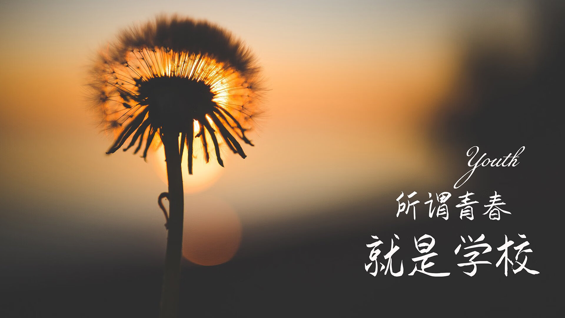 从业余到专业：车手的奋斗历程，当车手赚钱吗
