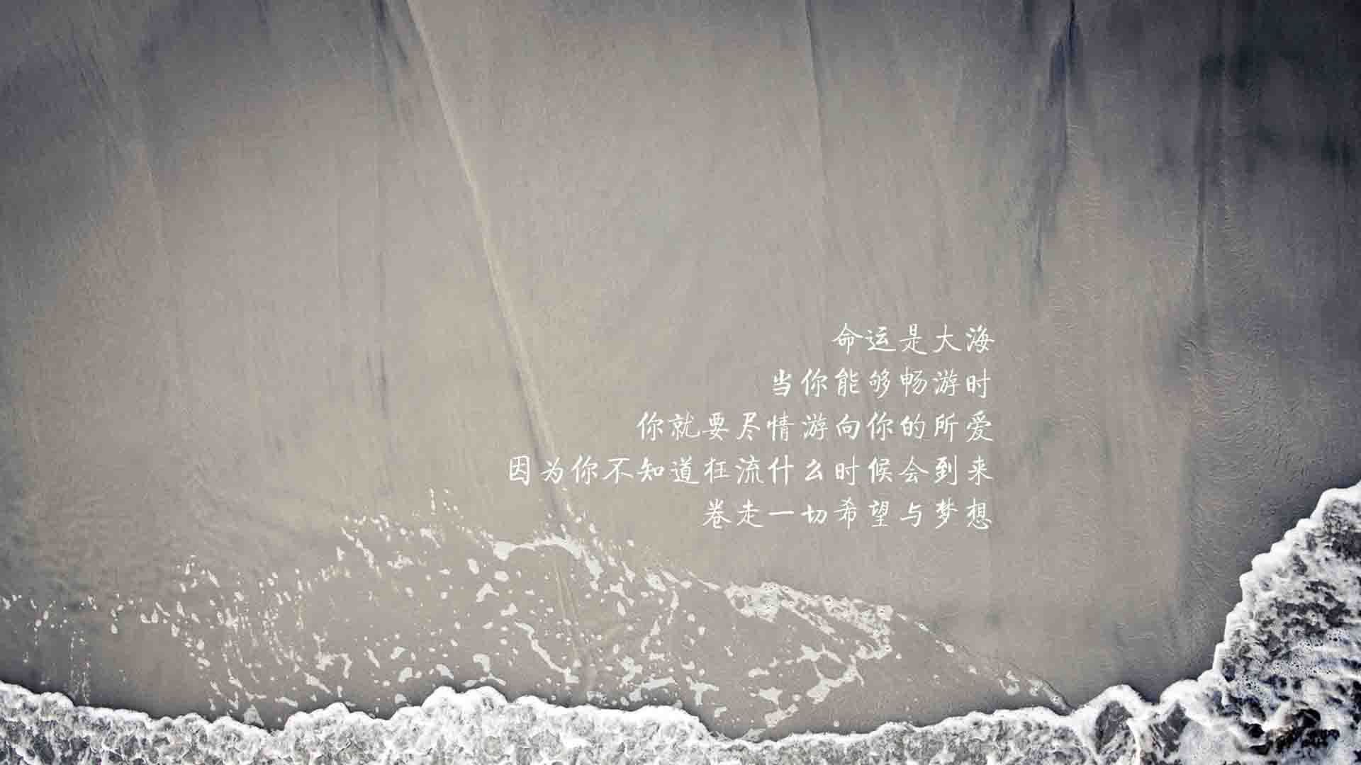 从业者访谈：台球运动发展的挑战与机遇，台球发展现状