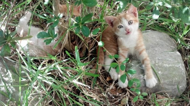 艾比·德尔福：全场高效的防守表现，令对方攻势屡屡受阻，艾德比尔送水案例