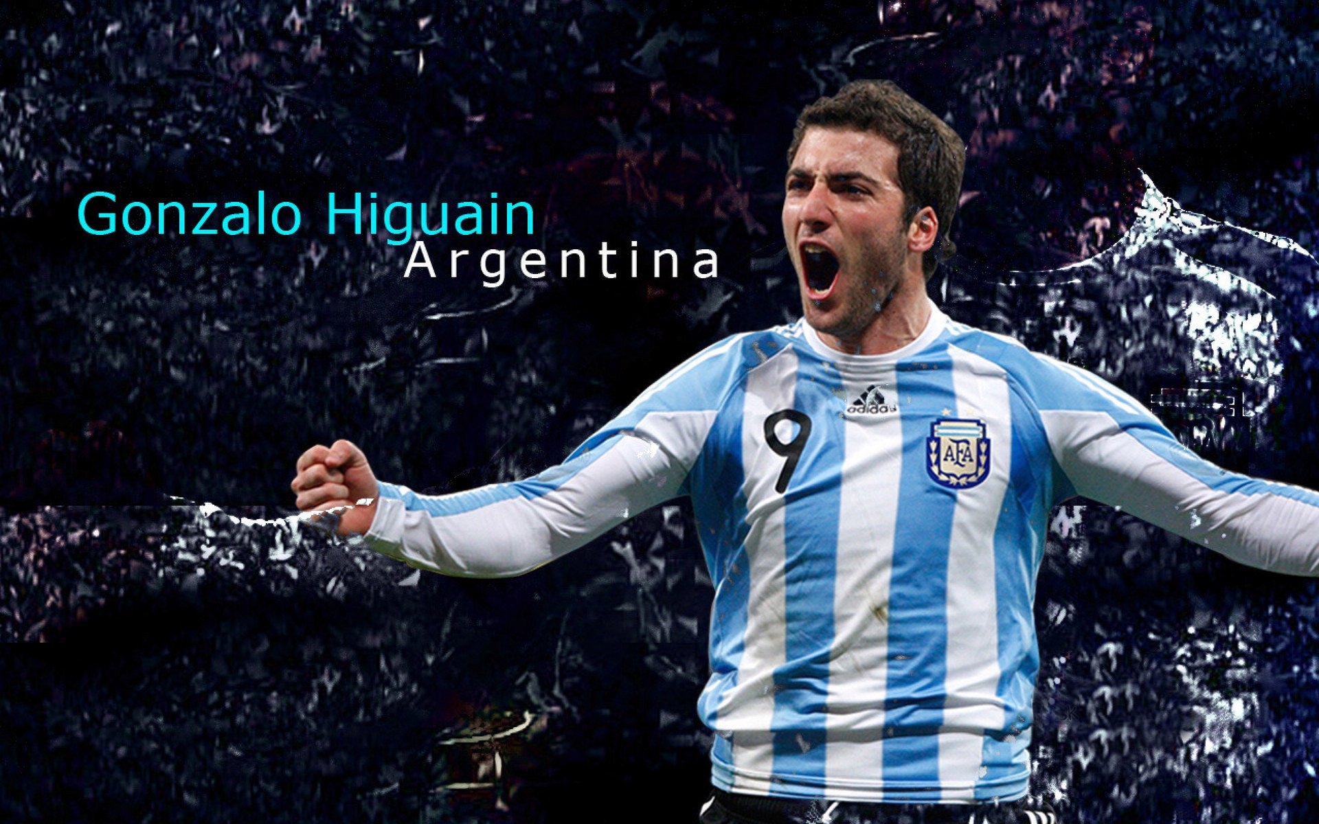 上海队连续三场连胜，士气高涨冲击冠军，上海队夺冠阵容